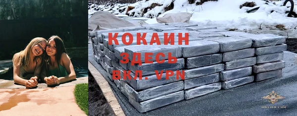 хмурый Алексин