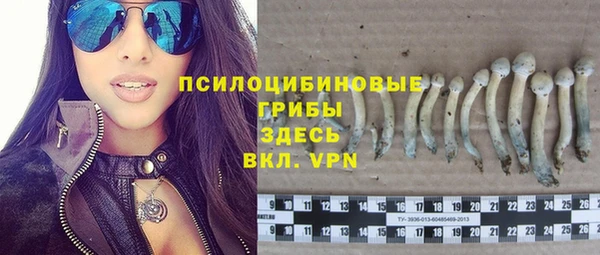 хмурый Алексин