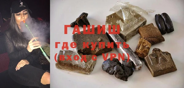 хмурый Алексин