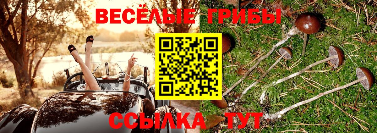 Псилоцибиновые грибы Cubensis Бахчисарай