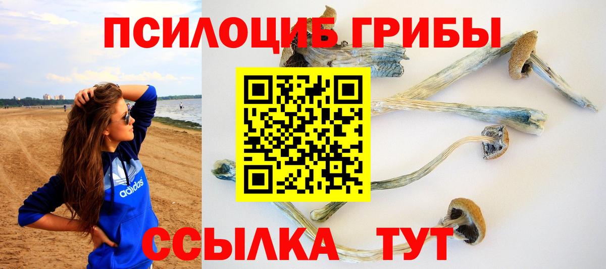 Галлюциногенные грибы GOLDEN TEACHER  Вход с VPN  Бахчисарай 