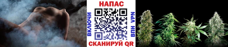 блэк спрут ССЫЛКА  Бахчисарай  Марихуана Amnesia  закладки 